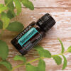 Spearmint